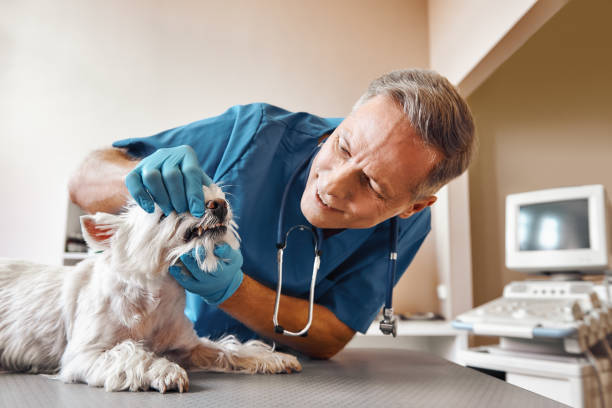 Best Emergency Root Canal Treatment in Fern Park, FL